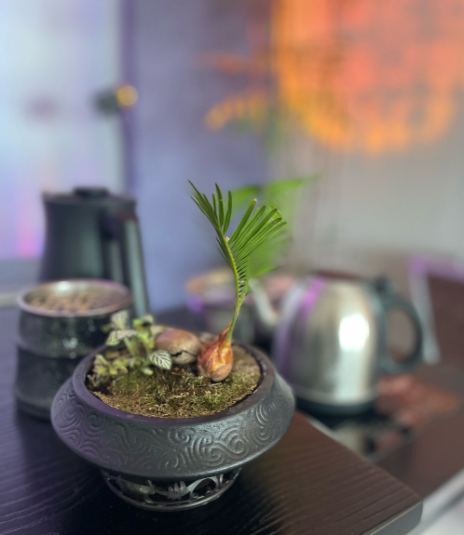 新街口店·茶室